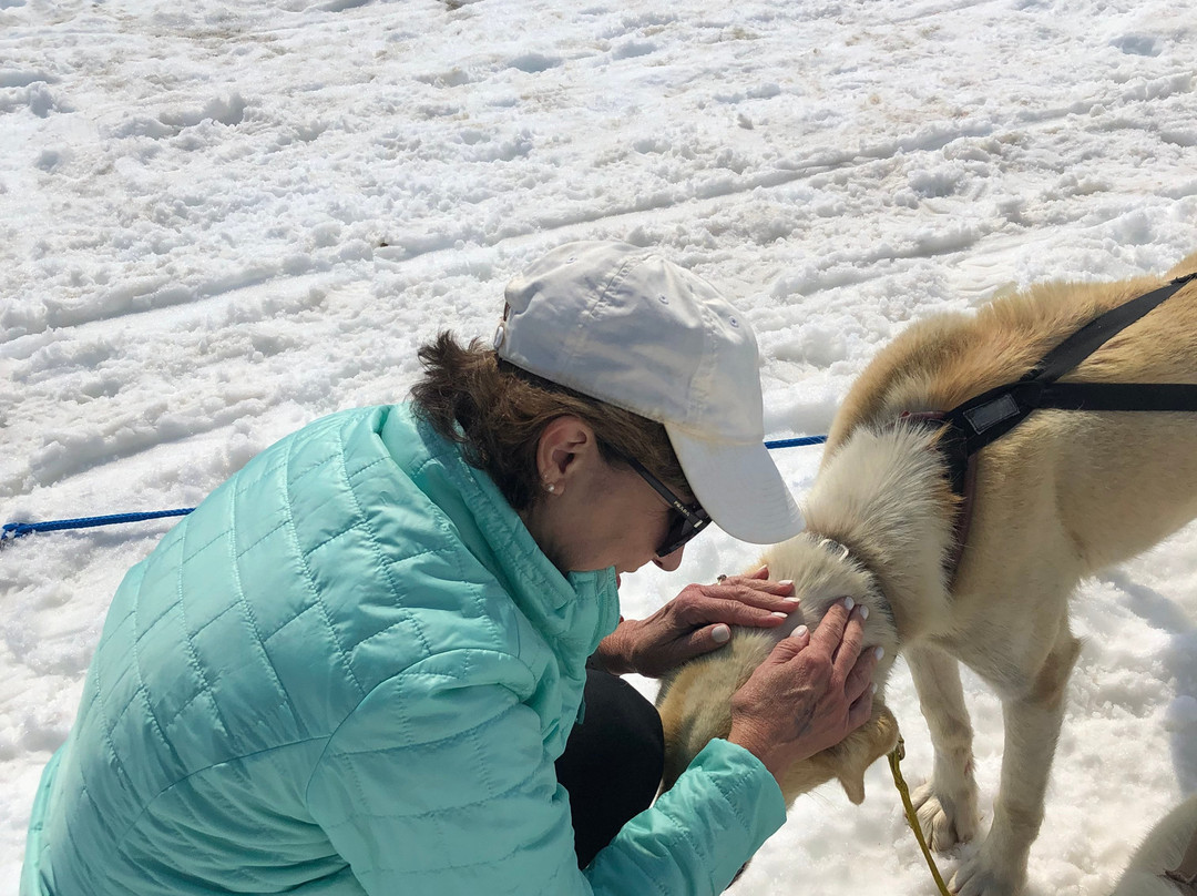 Smokin' Ace Kennels-Two Rivers必去景点