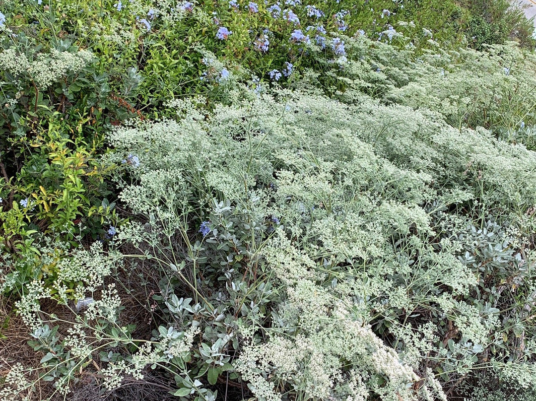 Culver City Park-卡尔弗城必去景点