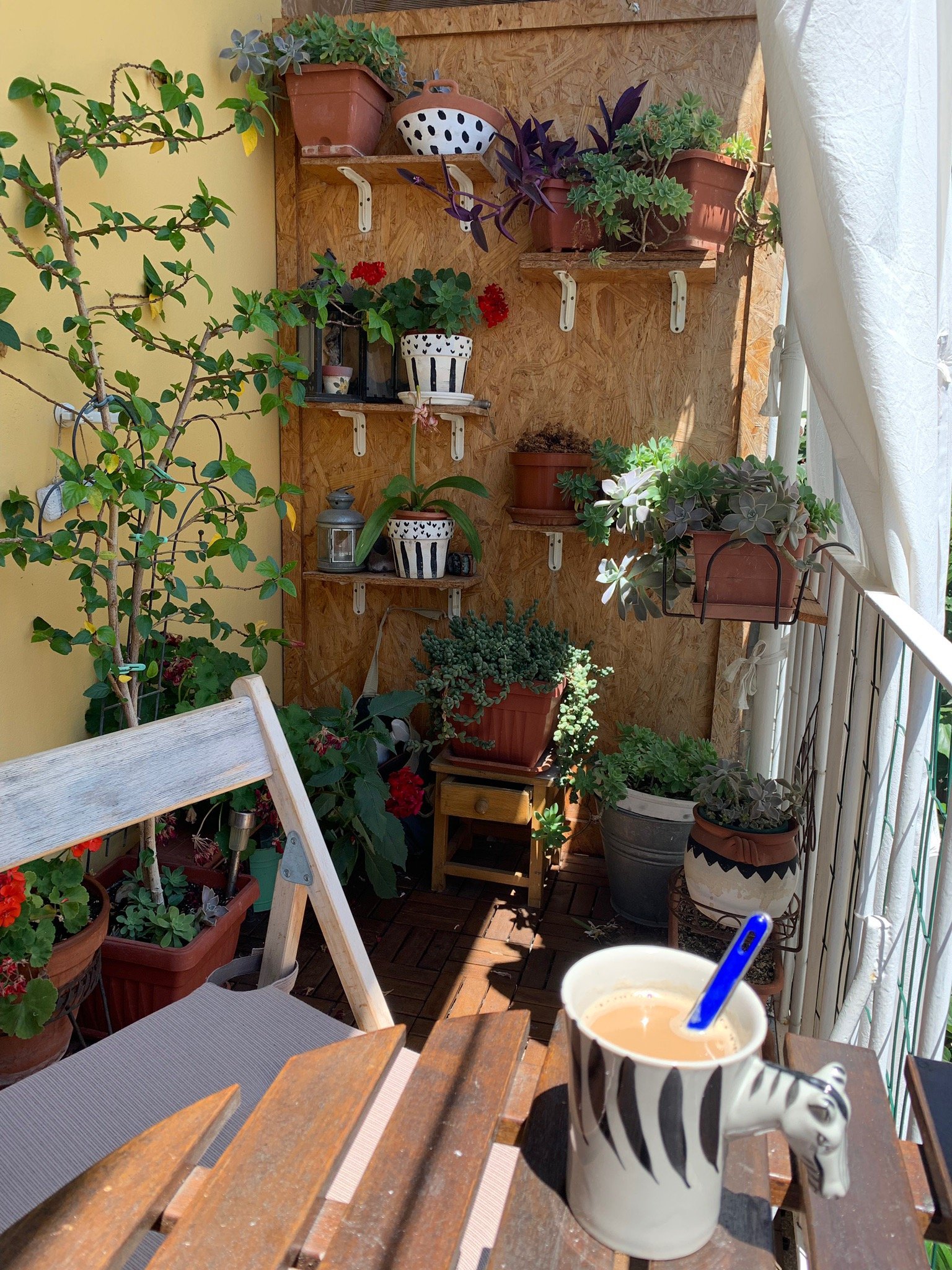 Nana Rooms Old Town-官方