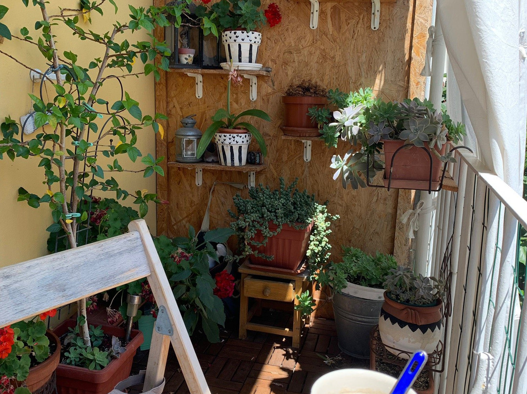 Nana Rooms Old Town主图
