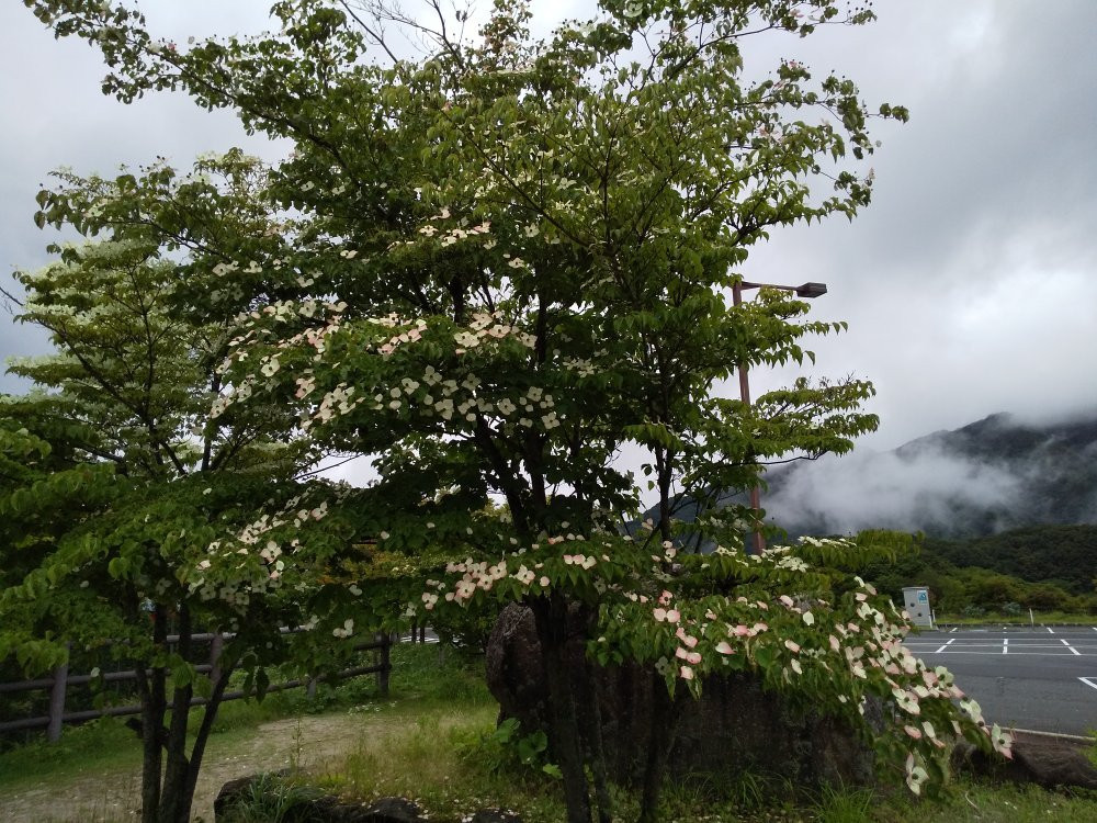 Okuizumo Orochi Loop Michi-no-Eki-奥出云町必去景点