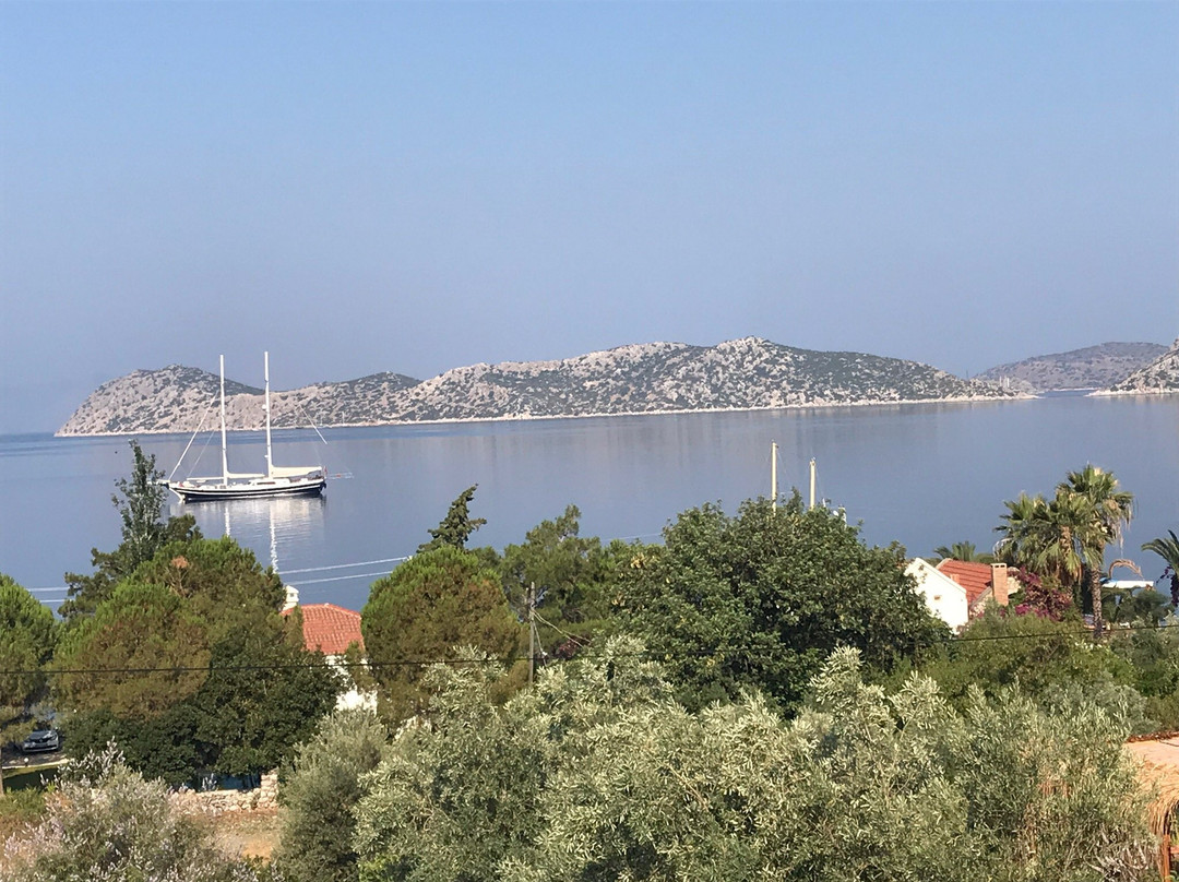 Lotus Pansiyon主图