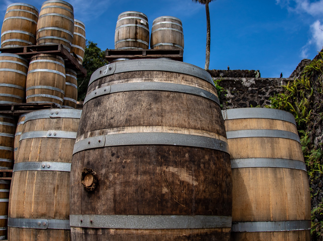 Habitation Saint-Etienne-Gros-Morne必去景点