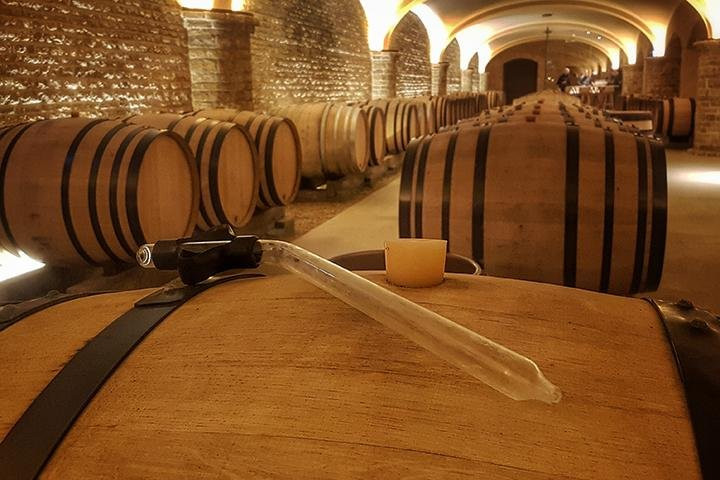 Maison Jean-Claude Boisset-夜圣乔治必去景点