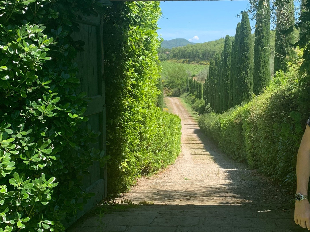 Azienda Agricola Colle Bereto景点图片