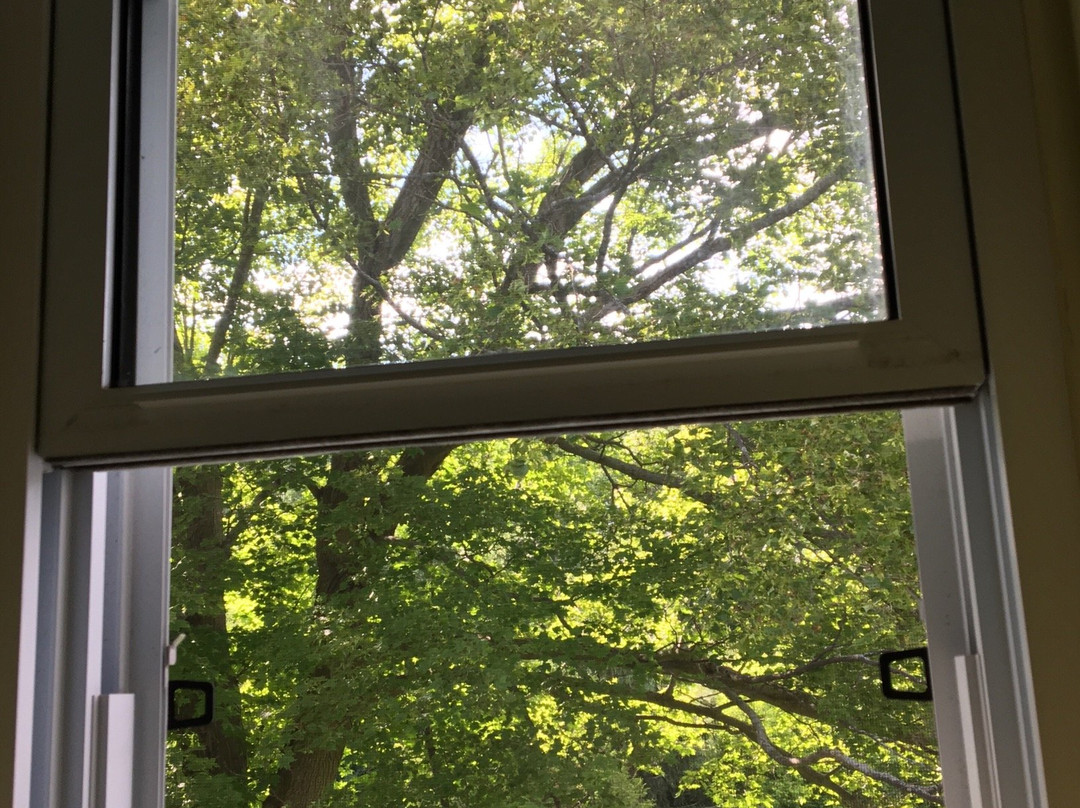 Newboro House Bed & Breakfast主图