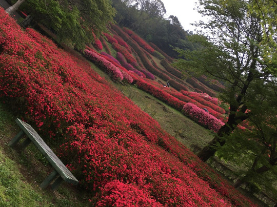 Shiibae Park-三股町必去景点