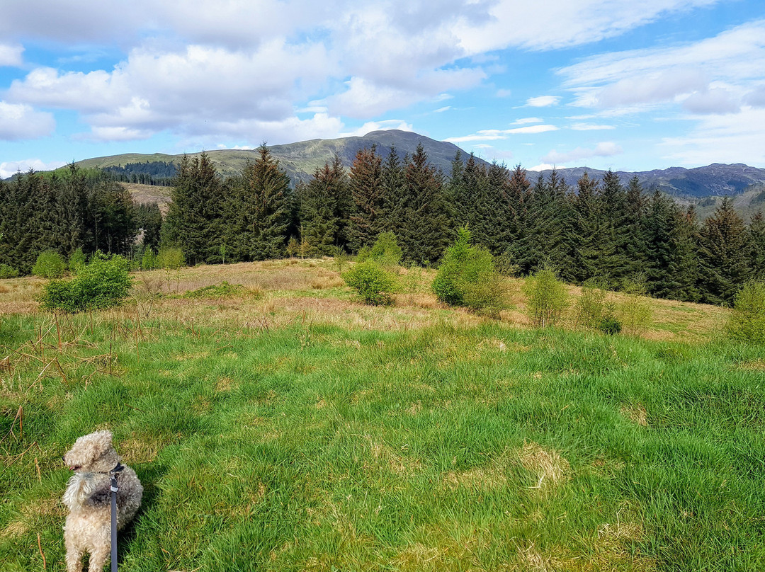 Westcot Bed & Breakfast主图