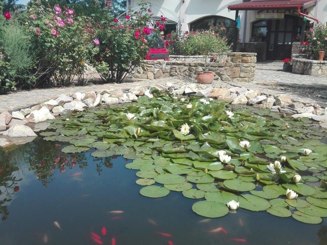 Garden Vendeghaz Mako主图