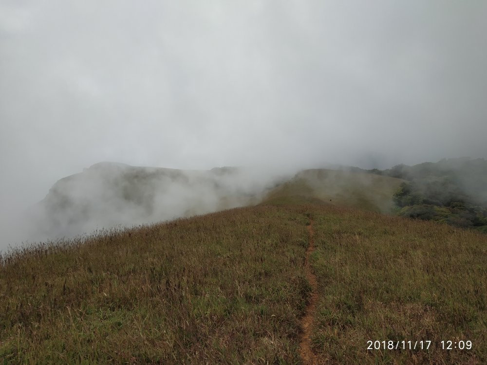 Kudremukh National Park景点图片
