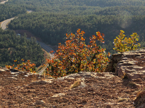 Rim Lakes Vista Trail-Payson必去景点