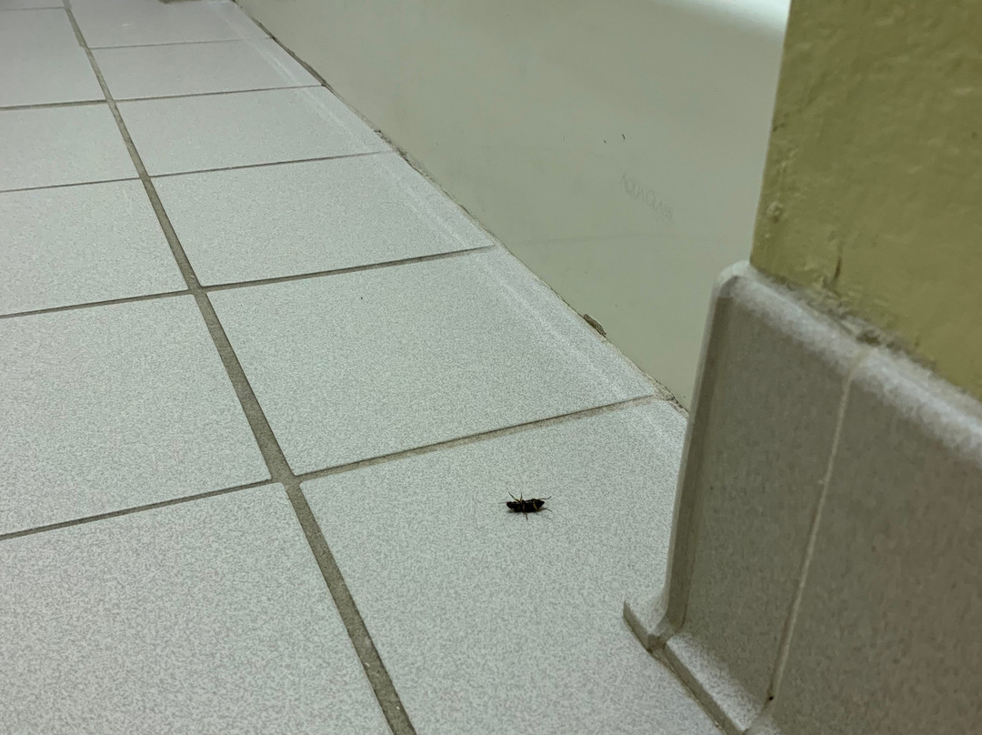 Country Hearth Inn Knightdale Raleigh主图