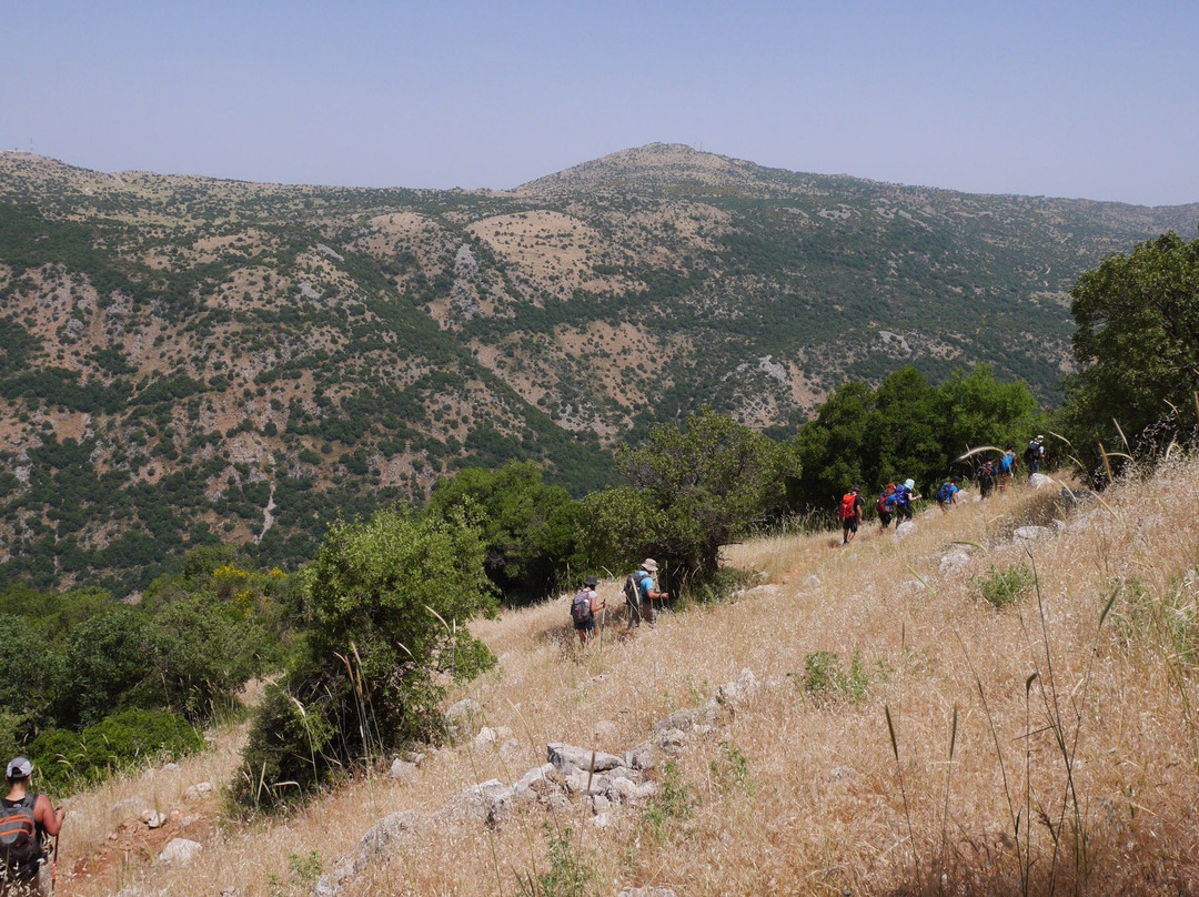 Let's Walk - Hike & Travel Israel with Omer Ziv-特拉维夫必去景点
