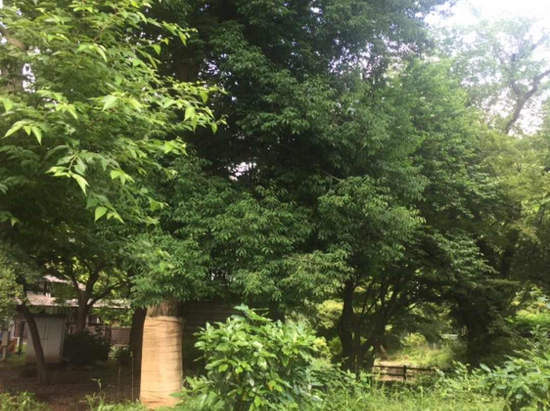 Yokuonkan Park-小金井市必去景点
