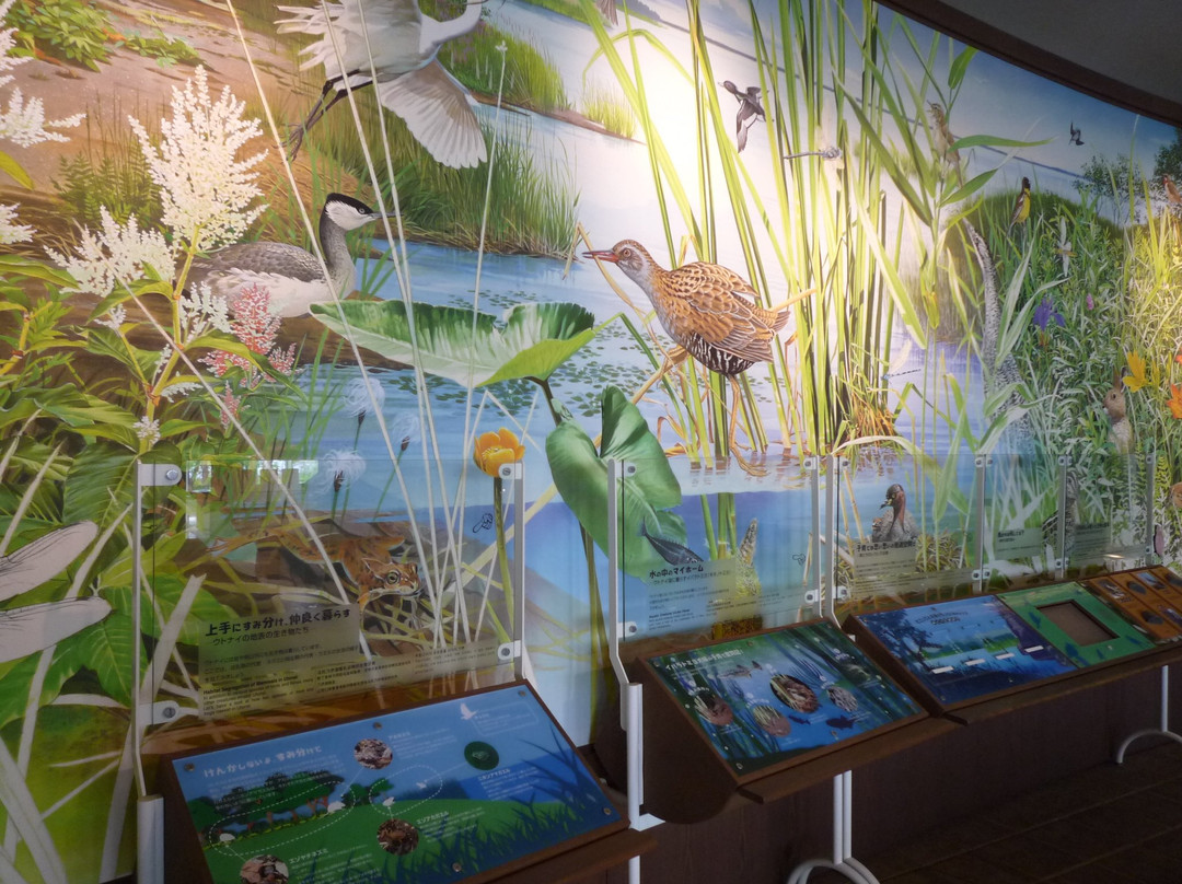 Lake Utonai Wildlife Conservation Center景点图片