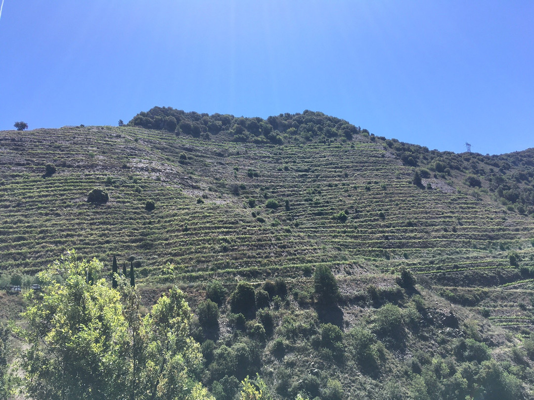 Ferrer Bobet-Porrera必去景点