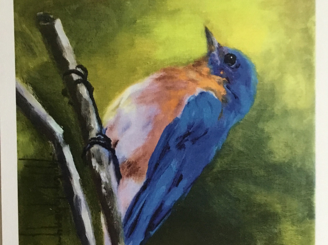 Twelve South Gallery-Hartwell必去景点