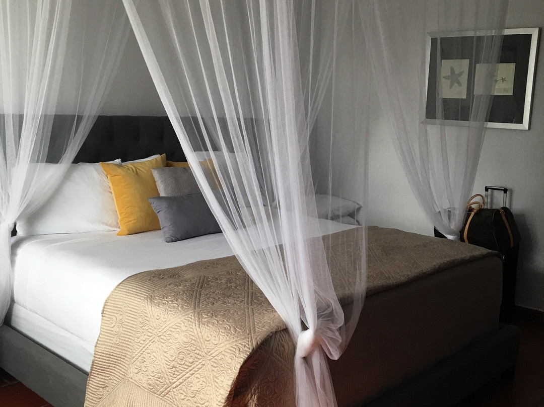 Playa Buyé-Cabo Rojo必去景点