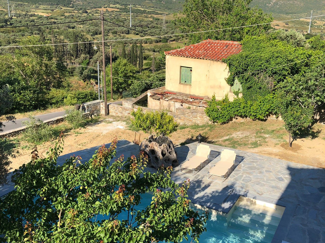 Traditional Mansion with pool & spa - The House of Prince主图