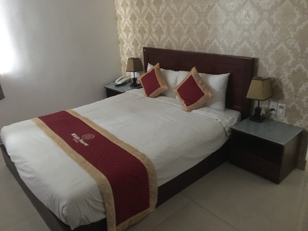 岘港白雪酒店主图