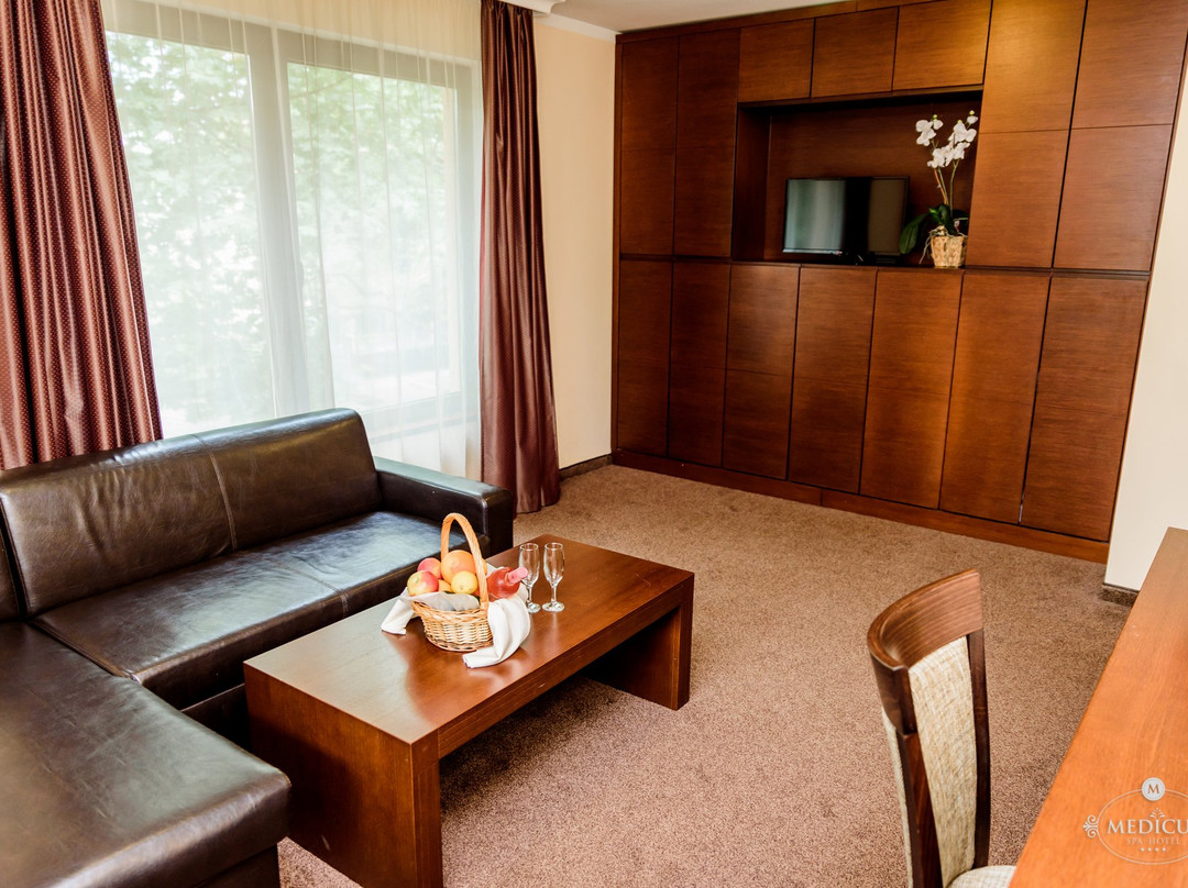 Medicus SPA hotel主图