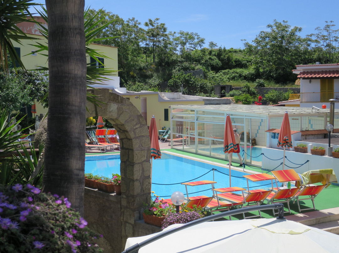 Hotel Villa Hibiscus主图