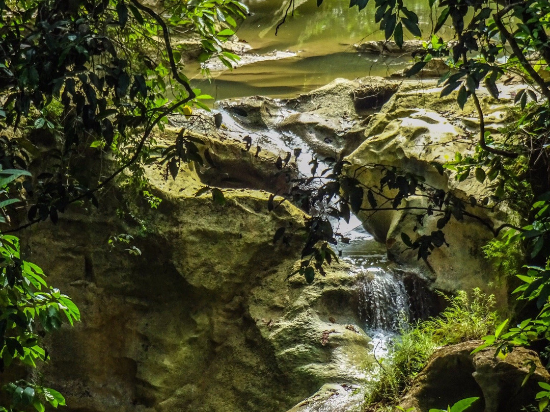 Kedung Cinet景点图片