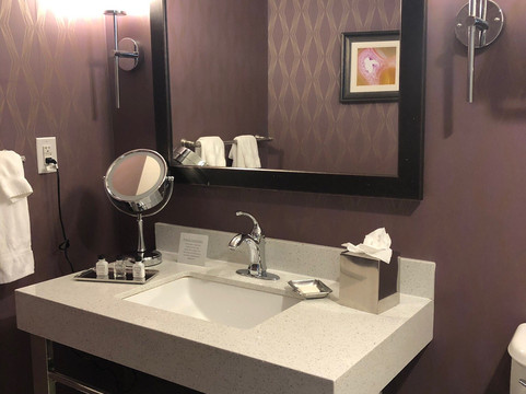 Crowne Plaza 萨德尔布鲁克 - 会议中心主图