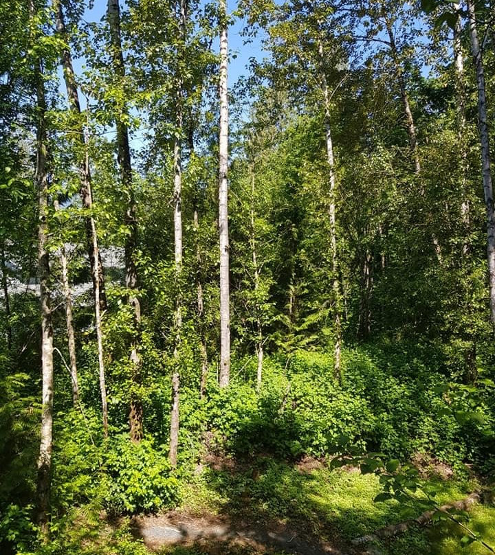 Mt. Woodside Bed & Breakfast主图