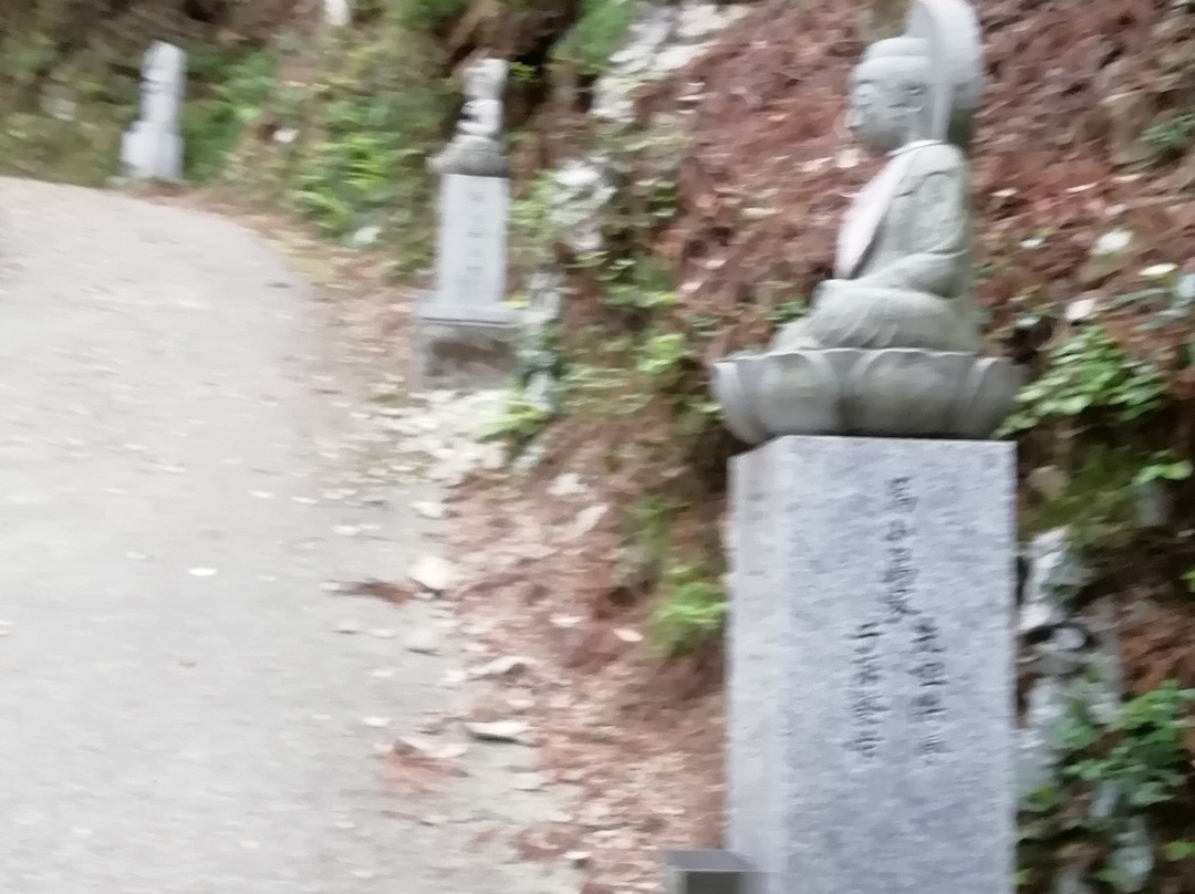 Tairyu-ji Temple Shashindake-阿南市必去景点