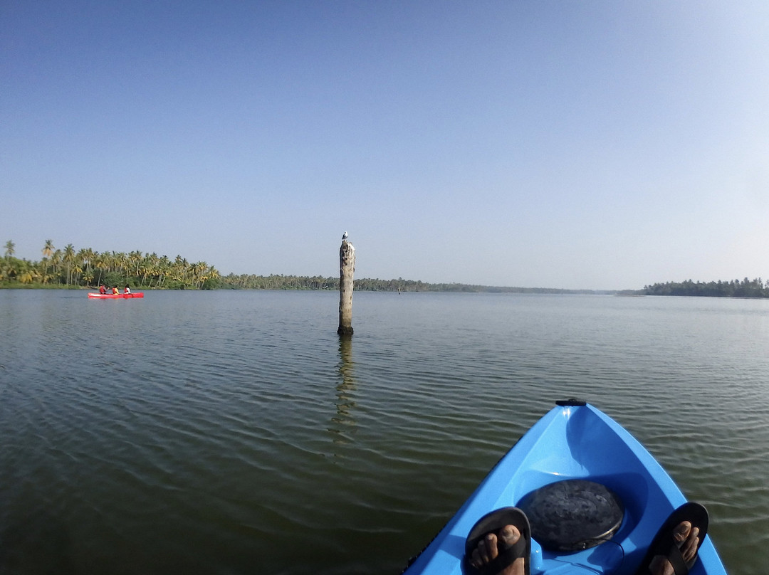 Syzygy Ecosports-科兰必去景点