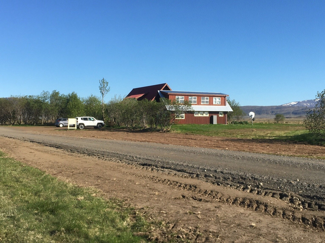 Guesthouse Milli Vina主图