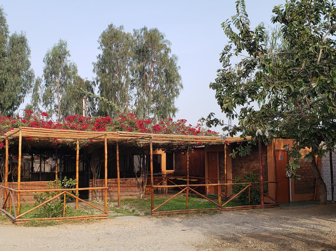 Lodge Viñas Del Sol Eterno主图