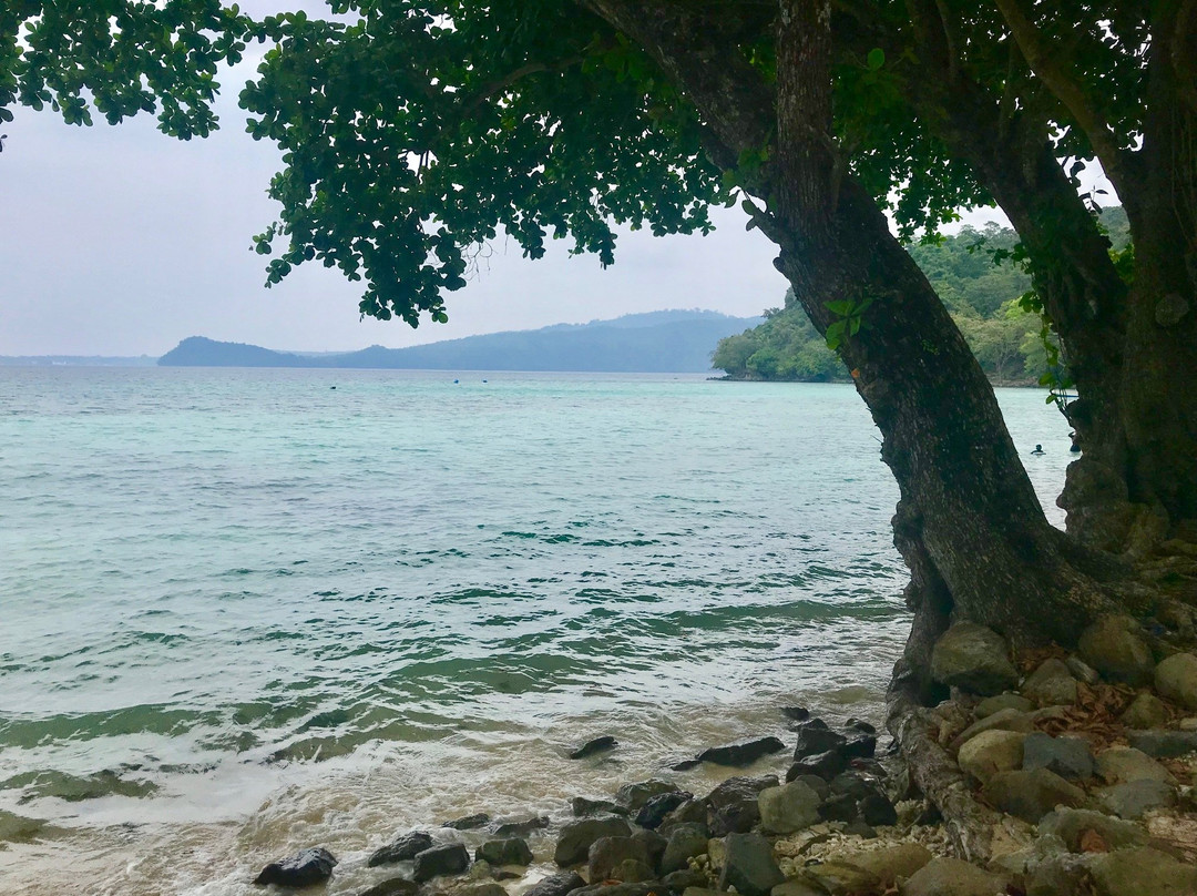 Bie Tour and Travel - Day Tours-韦岛必去景点