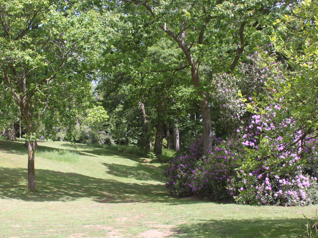 Calne旅游景点-Bowood Woodland Garden