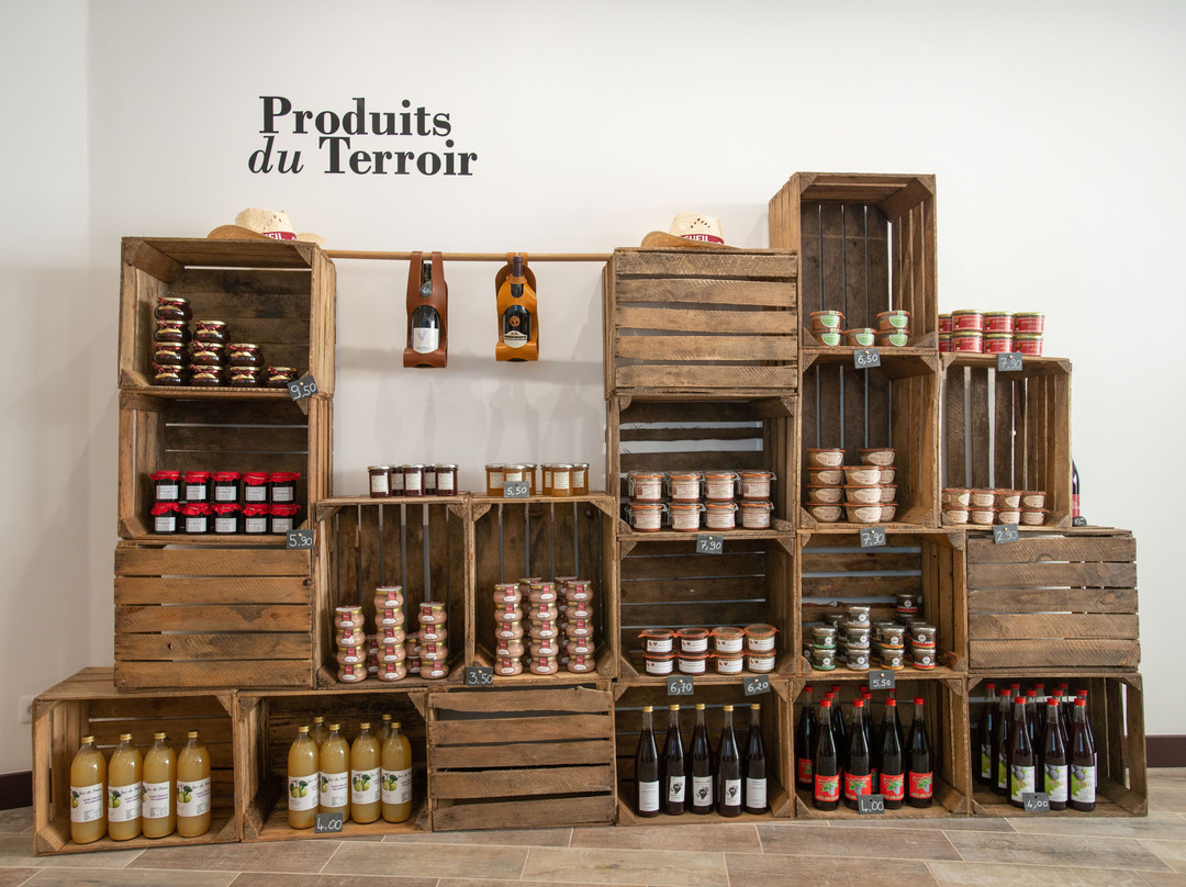 Maison des Vins de Bourgueil景点图片