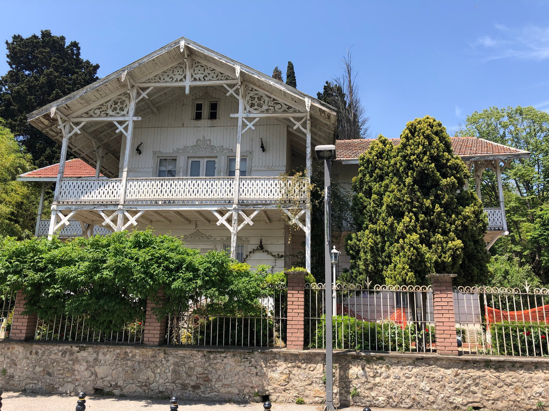 Osman Hamdi Bey Museum景点图片