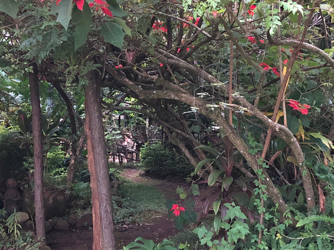 Zomba Forest Lodge主图