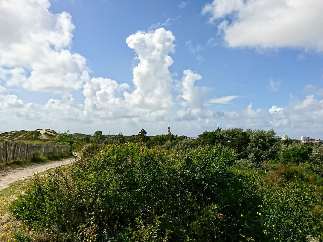 Office de Tourisme de Berck-sur-Mer-Berck必去景点