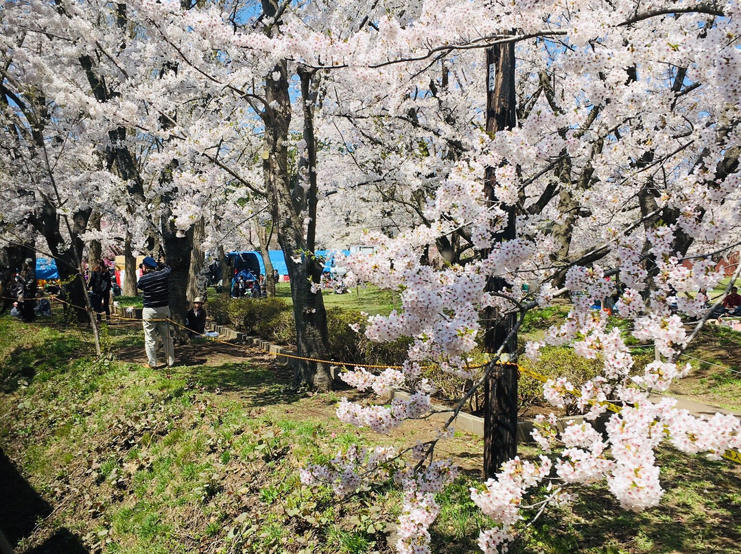 Ashino Park景点图片