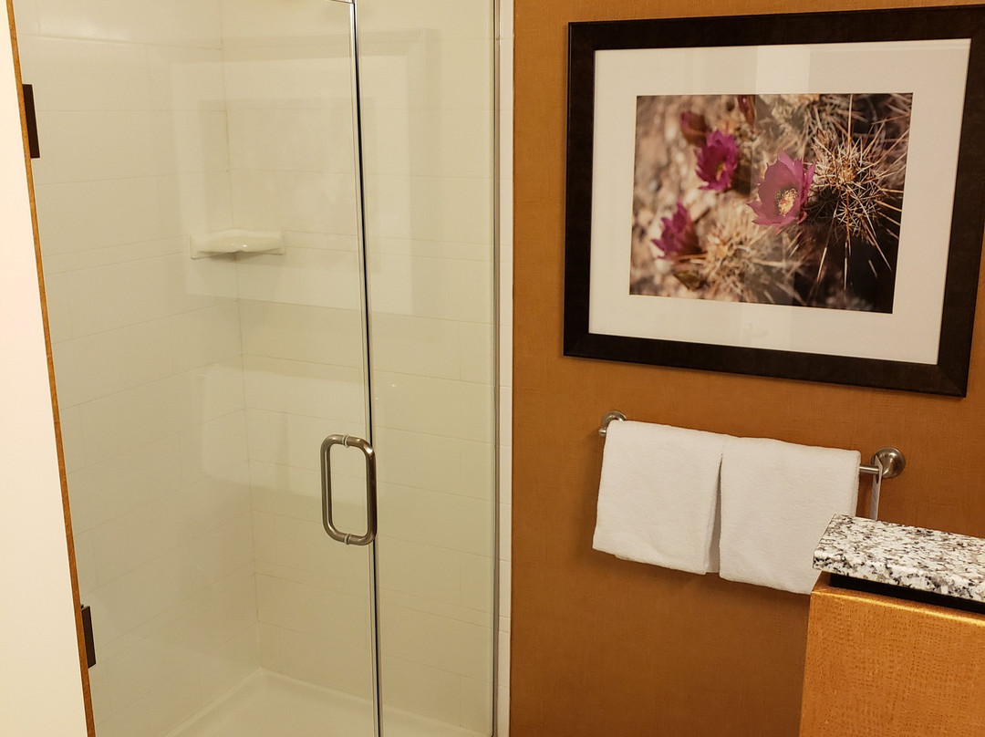 Courtyard by Marriott Scottsdale Salt River主图