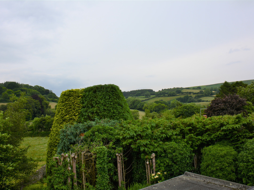 Moorcote Country Guest House, Moretonhampstead, Dartmoor主图