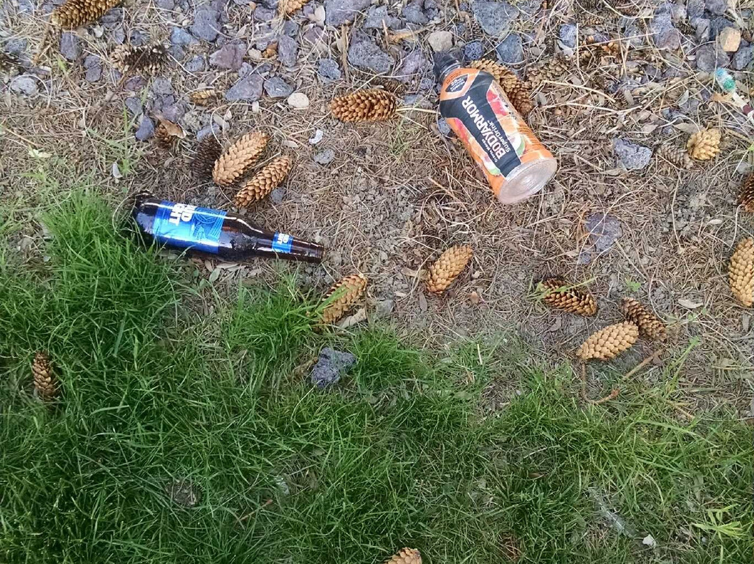 Best Western Plus Twin Falls Hotel主图