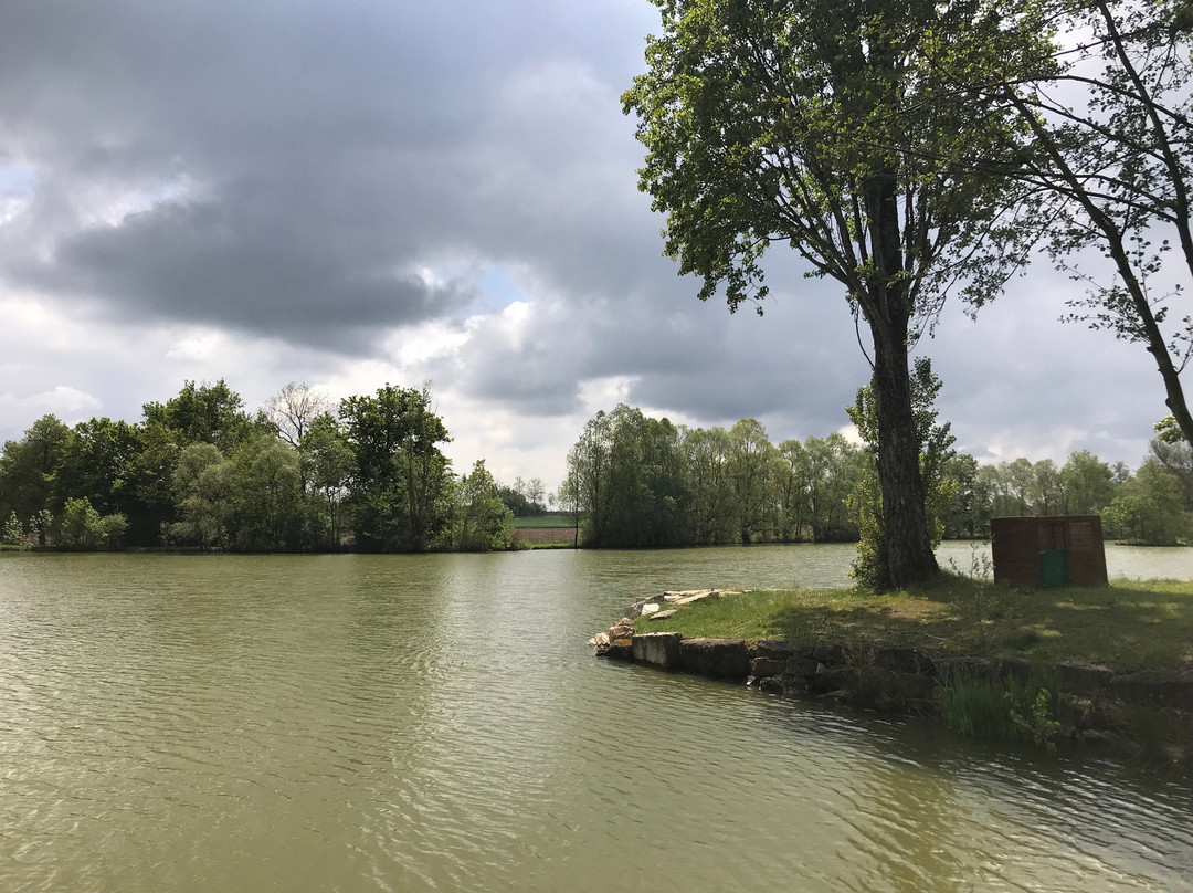 Le Domaine De Charlyne主图