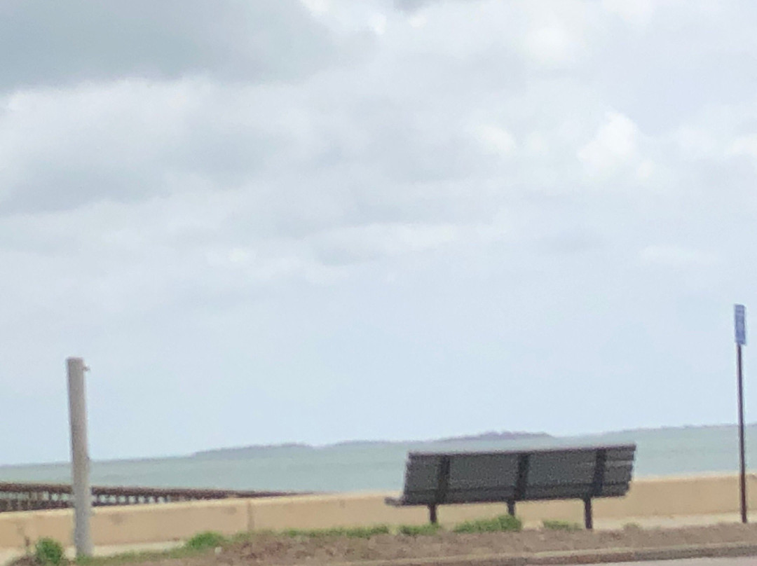 Wollaston Beach-昆西必去景点