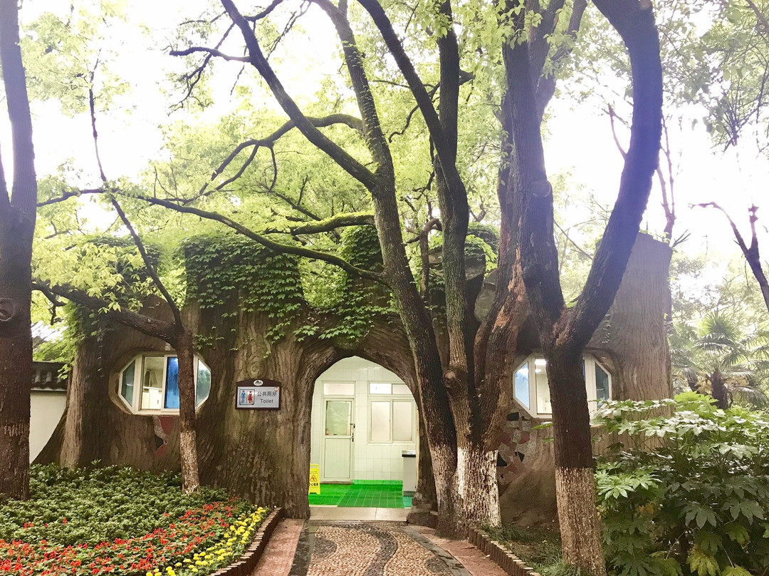 赭山风景区-芜湖必去景点