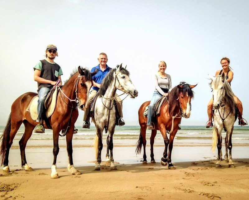 Agadir Horse & Camel-Taghazout必去景点