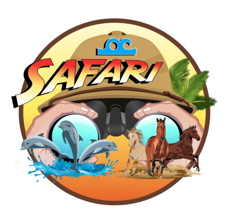 West OC Watersports-大洋城必去景点