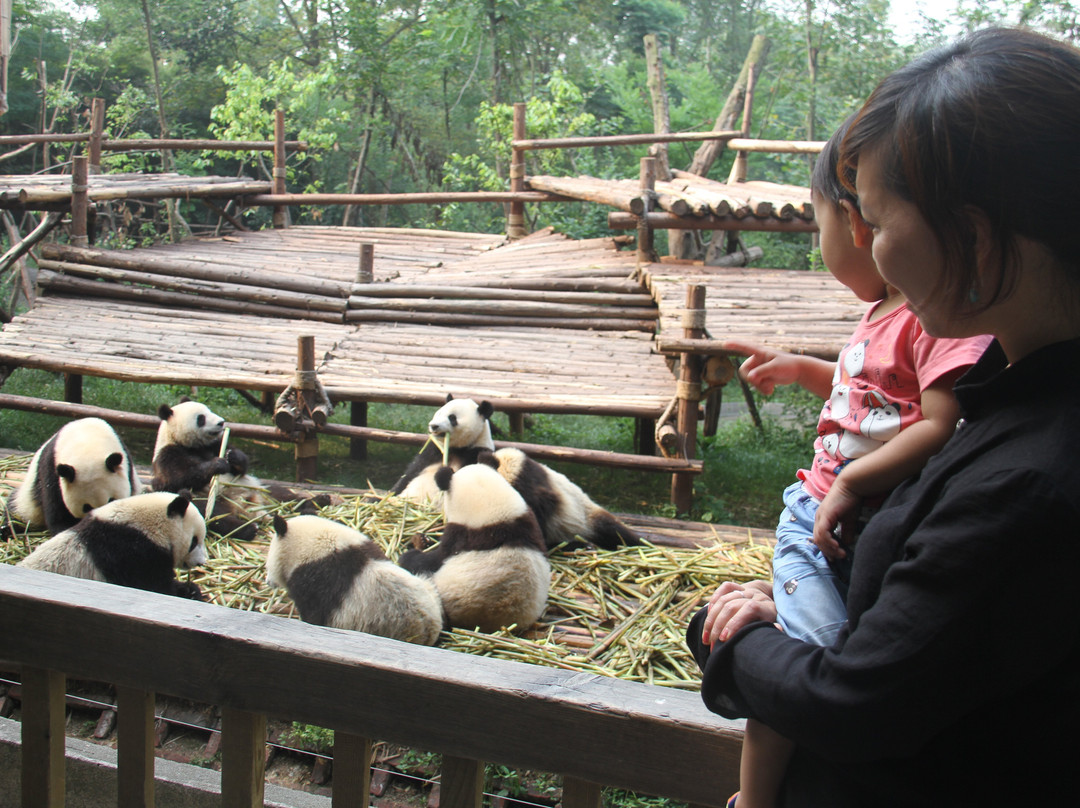 Chengdu One Day Tours