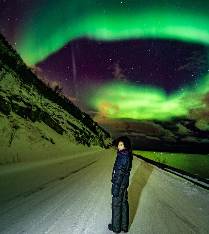 Aurora Borealis Observatory Senja景点图片